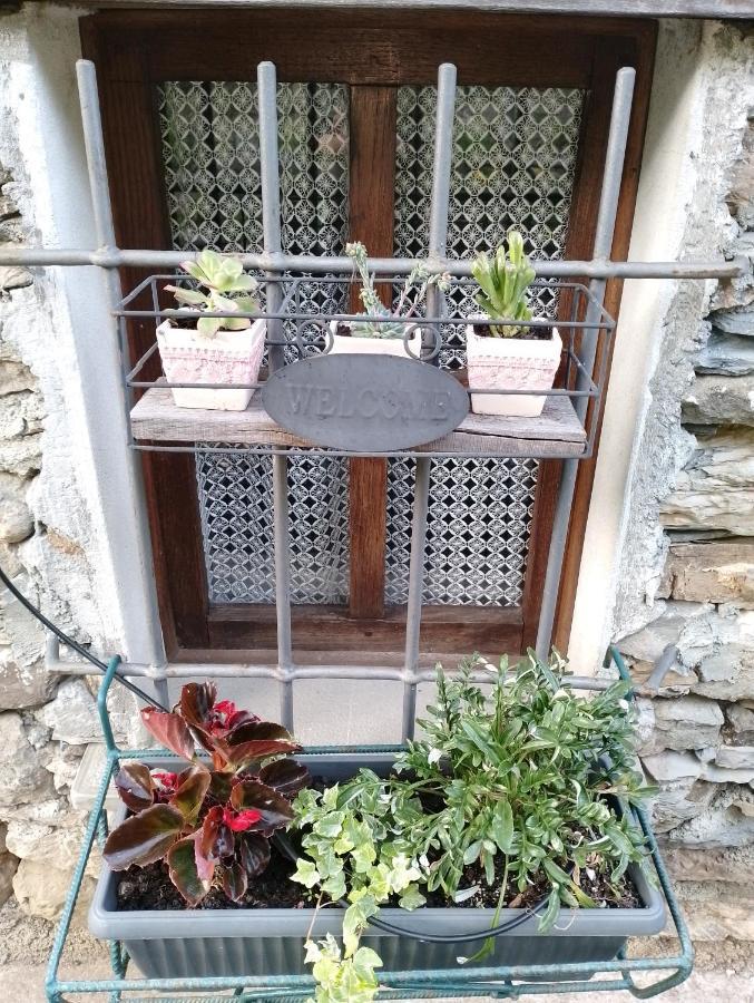 Casa Millin Borzonasca Exterior foto
